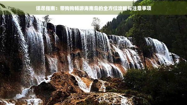 详尽指南：带狗狗畅游海南岛的全方位攻略与注意事项