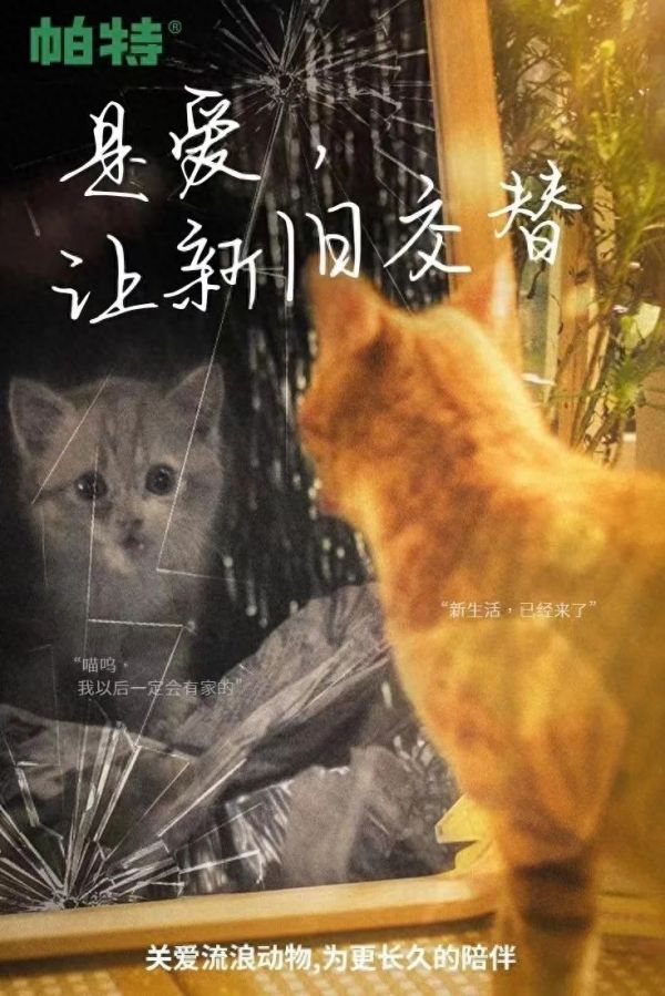 生命至上,爱不流浪:帕特打造 #一手一爪就是家# 系列公益活动