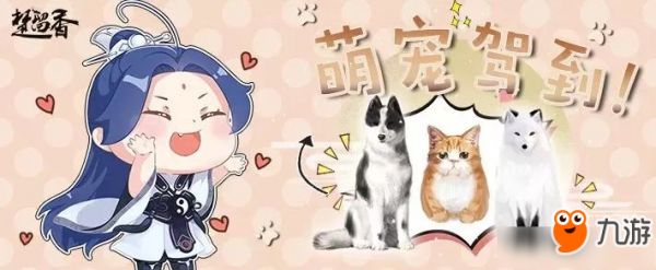 《楚留香》手游宠物会参与玩家副本战斗吗