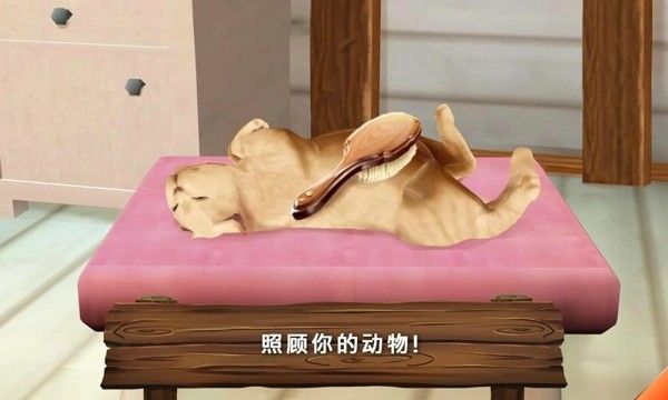 熊动物救助站好玩吗 熊动物救助站玩法简介