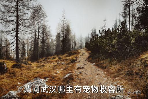 请问武汉哪里有宠物收容所