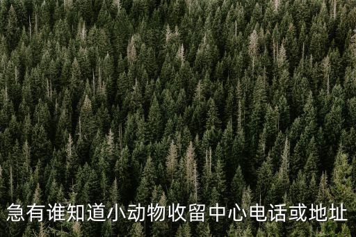 急有谁知道小动物收留中心电话或地址