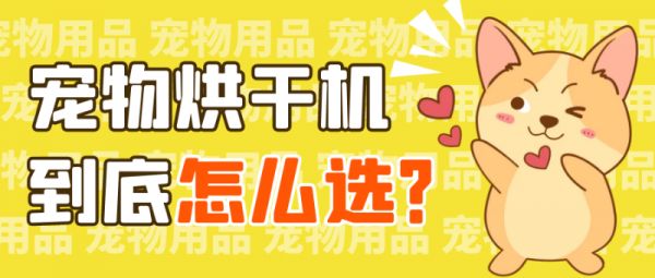 宠物用品——选购宠物烘干机，要考虑哪些因素呢？