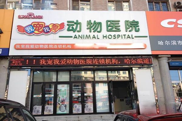 我宠我爱加盟