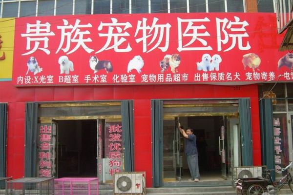 贵族宠物医院加盟