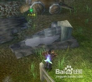 凋零雄鹰哪里抓