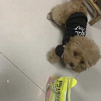 疯狂小狗冻干夹心鸭肉梨狗粮泰迪比熊中小型犬幼犬成犬老年犬全价