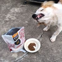 修勾吃个狗粮鬼迷日眼的