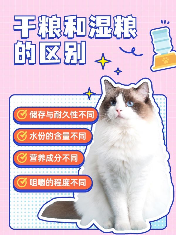 超全的干粮和湿粮的区别来啦。无论选择干粮还是湿粮，最重要的是根据宠物的个体情况、年龄、健康状况和饮食习惯来做出选择。此外，正确的喂养量和均衡的营养摄入也是确保宠物身体健康的关键。#猫粮测评 #养猫经验分享 #猫粮分享 #养猫攻略 #猫粮推荐