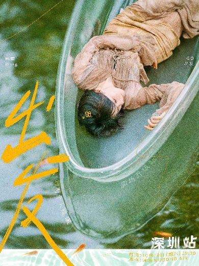 司南深圳演唱会