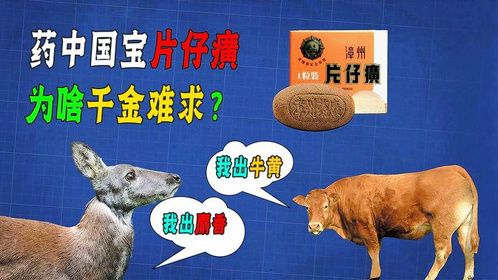 药中国宝片仔癀，一粒卖760！它凭啥这么贵？看看它的原料就懂了!