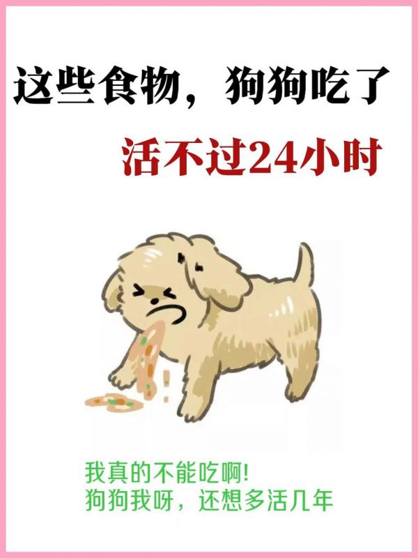 狗狗吃了活不过24h的食物。#关注我每天坚持分享知识 #养狗小知识 #科学喂养 #干货分享 #萌宠百科