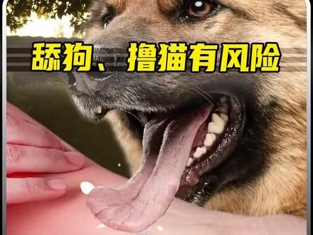 宠物的舌头究竟有多可怕?有人只因被舔了一下,双手双脚都没了。#舌头 #细菌感染 #科普 #猫狗 #爱狗人士