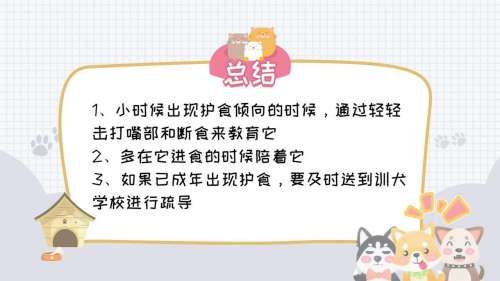狗狗护食怎么办