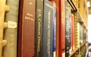 大批流浪狗成安全隐患专家:立法保护动物并规范管理