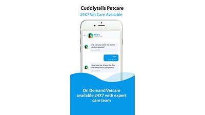 Cuddlytails Launches 24/7 Vet Chat Service