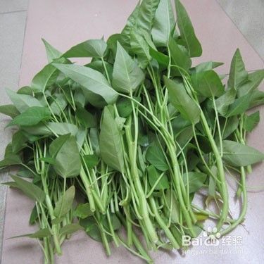 家养仓鼠应注意什么才不生病？