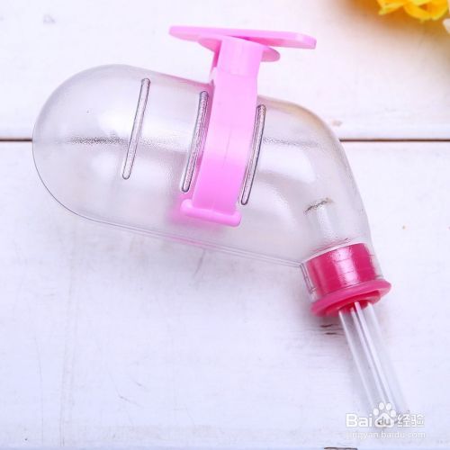 家养仓鼠应注意什么才不生病？