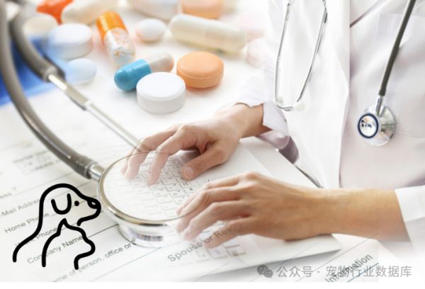 宠物经济其实是“情感经济”？抓住这三点，帮你快速了解宠物服务行业
