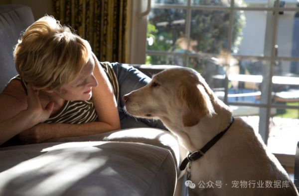 宠物经济其实是“情感经济”？抓住这三点，帮你快速了解宠物服务行业
