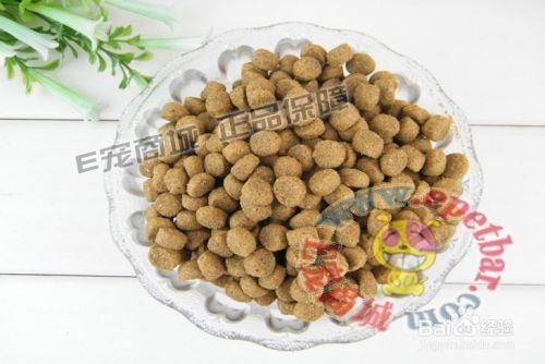 狗狗缺乏维生素会引起哪些疾病