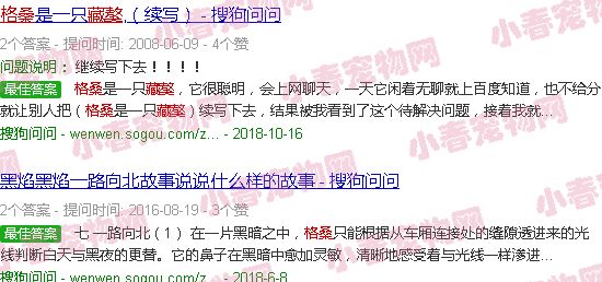 藏獒格桑洛桑雨婷全文