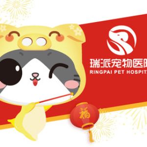狗狗全套洗澡套餐
