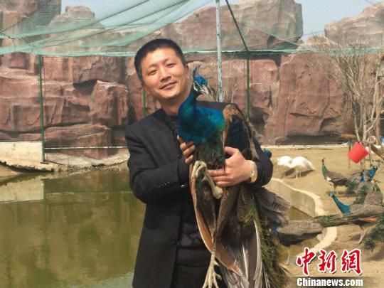 韩国流行出租宠物狗外媒：会给狗产生很大压力