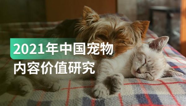 报告｜年轻一代宠物兴趣人群为品牌带来机遇，有效的宠物内容营销怎么做？