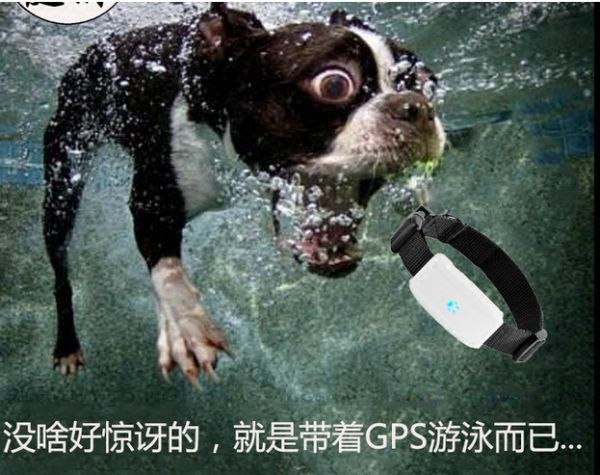 QQ图片20170609142627