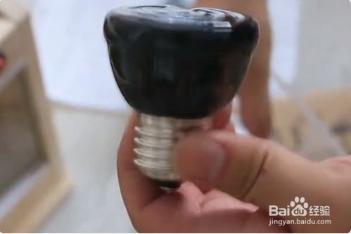 我们在冬天如何给乌龟做好保暖？
