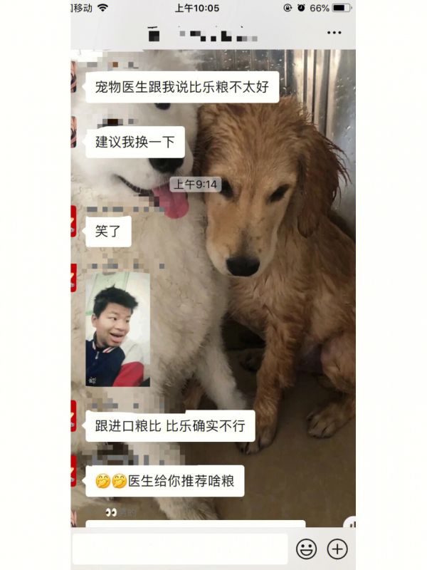 爬楼看 因为自己也是第一次养狗 想学习学习经验 家人们也很了解狗狗