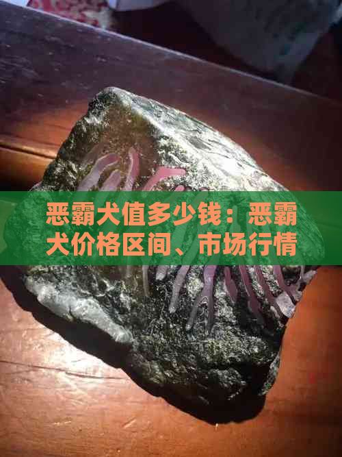 恶霸犬值多少钱：恶霸犬价格区间、市场行情及单只售价解析