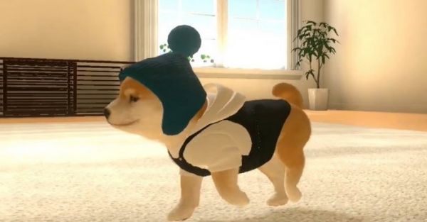 休闲宠物养成