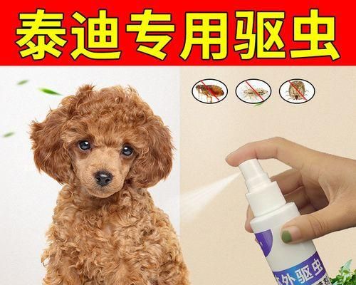 宠物狗如何彻底除虱（宠物狗除虱的必备知识与技巧）