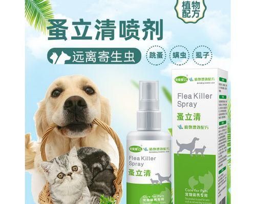 宠物狗如何彻底除虱（宠物狗除虱的必备知识与技巧）