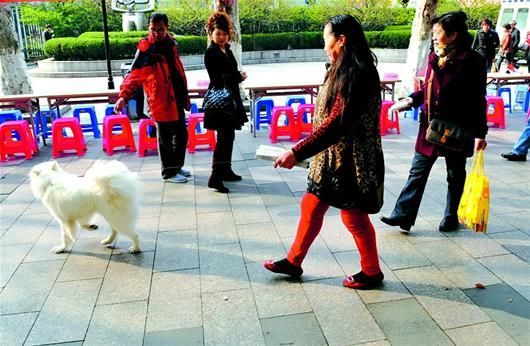 图文：街拍身边不文明行为·养宠物