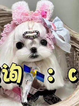 CDE宠物能量于20211009发布的作品