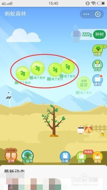 支付宝蚂蚁森林怎么收取能量？