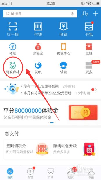 支付宝蚂蚁森林怎么收取能量？