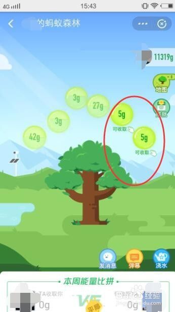 支付宝蚂蚁森林怎么收取能量？