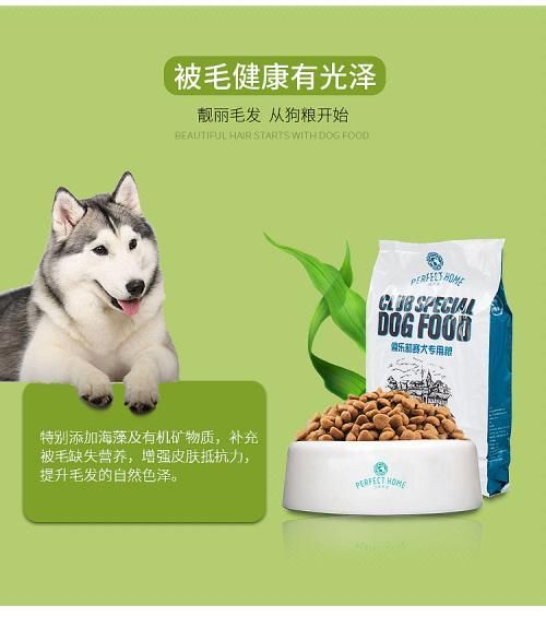 武汉进口宠物食品国外报关