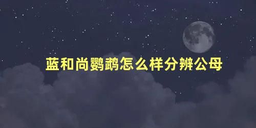 蓝和尚鹦鹉怎么样分辨公母