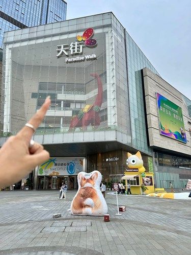 西门的朋友收到通知了吗！！1r领T恤。。。
