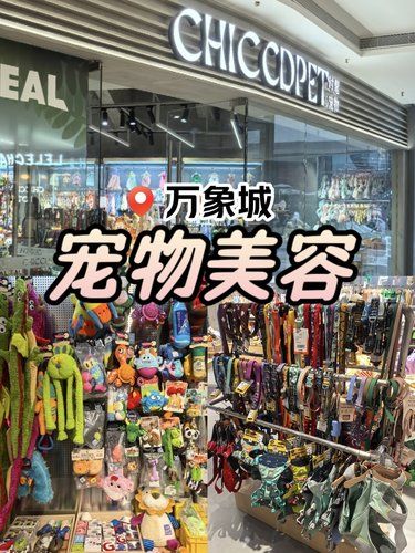 宠物美容室