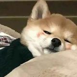 木子石头