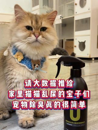 艾心倍健宠物用品:请大数据推给家里猫猫乱尿的宝子们!这个除臭剂你真的很需要! #艾心倍健 #超敏蛋白复合酶 #新手养猫 #萌宠好物 #小零蛋除味剂