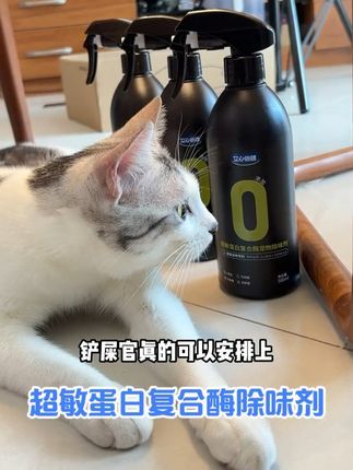 艾心倍健宠物用品:我家养了三只猫但是一点臭味都没有!无臭养宠的秘诀就是它! #艾心倍健 #超敏蛋白复合酶 #宠物除味剂 #养猫好物 #科学养宠攻略