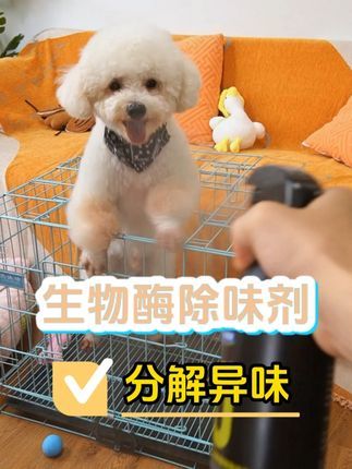 艾心倍健宠物用品:养狗三年,我家真的一点狗味都没有!多亏了这个生物酶除味剂! #艾心倍健 #狗狗除臭喷剂 #萌宠好物