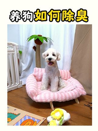 艾心倍健宠物用品:养宠物家里味道大,一定要备上这个,喷完家里一点臭味异味都没了#萌宠好物 #除臭剂 #科学养宠攻略